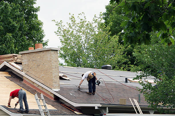 Best Roof Gutter Cleaning  in Strum, WI