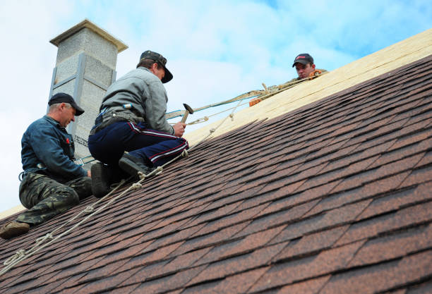 Best Roof Repair Specialists  in Strum, WI